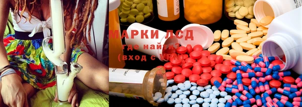 ECSTASY Алзамай
