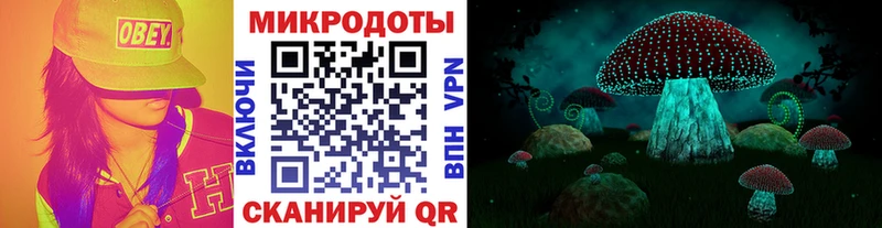 где найти наркотики  Талица  Галлюциногенные грибы Psilocybine cubensis 