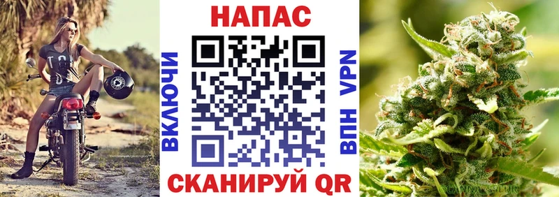Каннабис гибрид  МЕГА онион  Талица  цены  